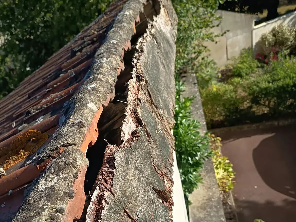 Ligne de faîtage en fin de vie : tuiles scellées au mortier éclatées et bois pourri en dessous — ETS Louis Père et Fils
