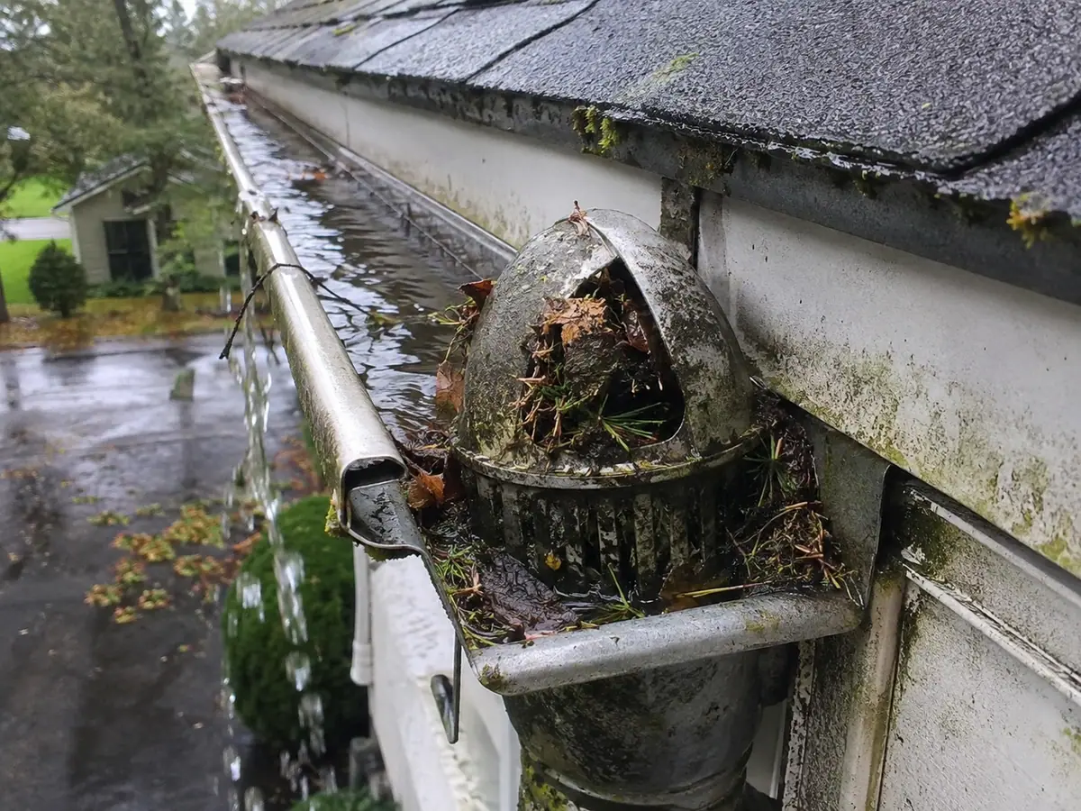 Crapaudine bourrée de feuilles et d'aiguilles au départ d'une descente, eau stagnante dans le chéneau