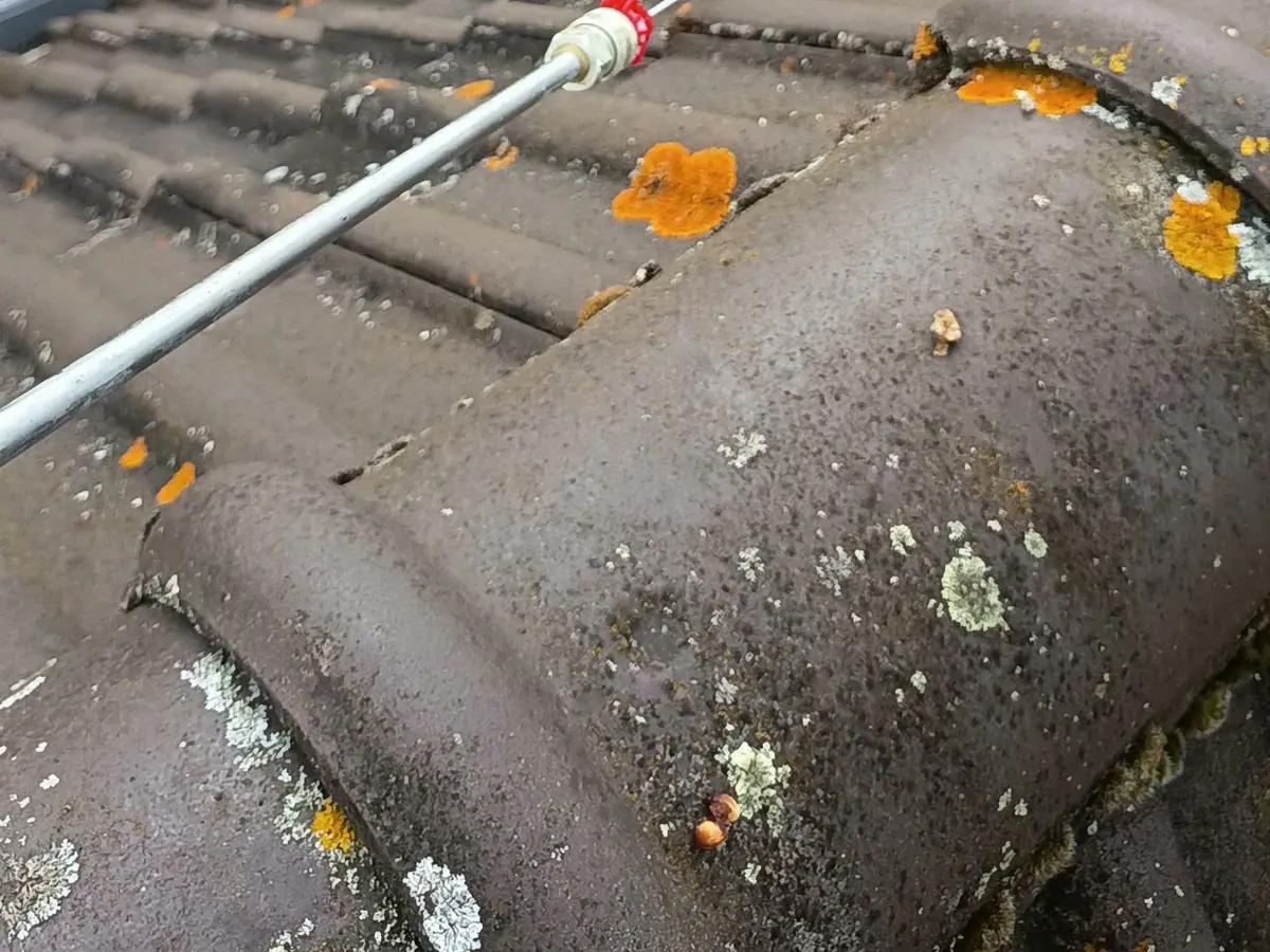 Nettoyage d'une toiture couverte de lichens à la lance basse pression — chantier ETS Louis Père et Fils